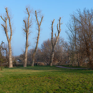 OF2_45567.jpg