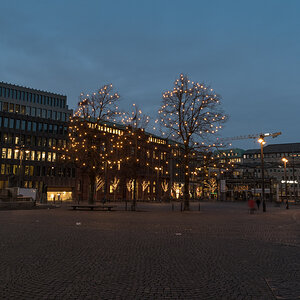 20201204-001-2.jpg