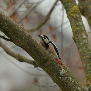 NF_DSC_5410.jpg