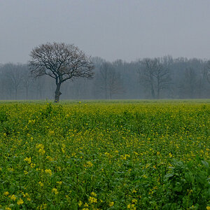 DSCF3374KAxl.jpg
