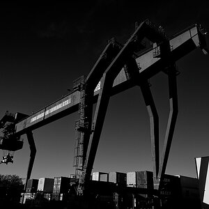 SF2_0142_1.jpg