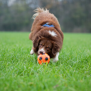 PC060096_DxO1200.jpg