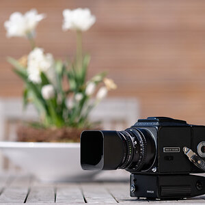 Hasselblad