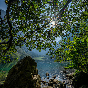 Obersee