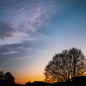 Moonshot