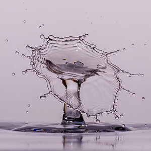 Splash