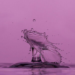 Splash