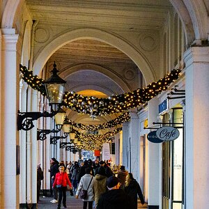 TZ_DSC02508_A.jpg