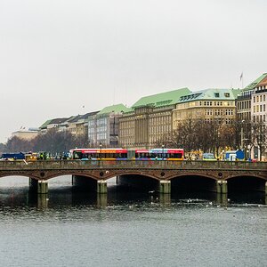TZ_DSC02502_A.jpg