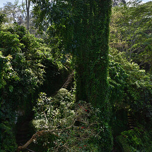 DSC_1954.JPG