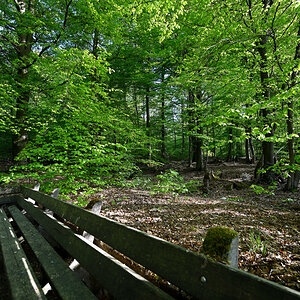 Z7R_3026_02.JPG