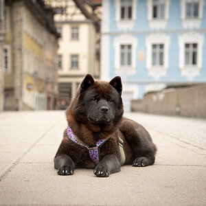 NF_Motsi_Untere_Bruecke_DSC_2678.jpg