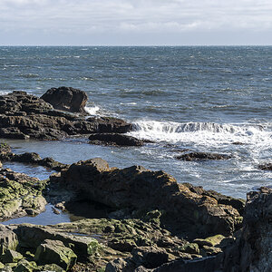 Ostküste Island.jpg