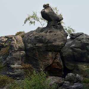 DSC_0235_00001n.jpg