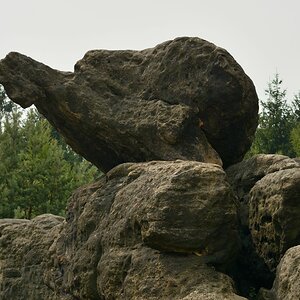 DSC_0250_00001n.jpg