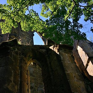 DSC_0874_00001n.jpg