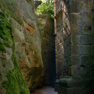 DSC_0875_00001n.jpg