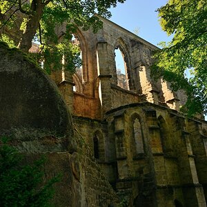 DSC_0877_00001_01n.jpg