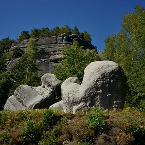 DSC_0913_00001n.jpg