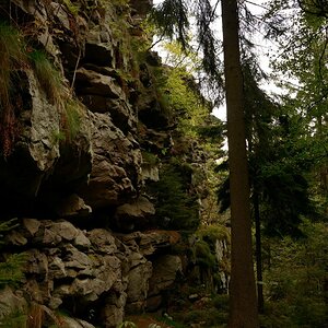DSC_0951_00001n.jpg