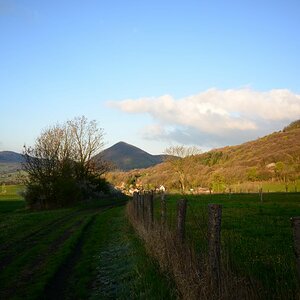 DSC_0343n.JPG