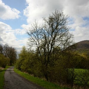 DSC_0385n.JPG
