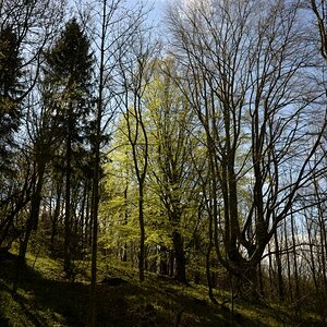 DSC_0406n.JPG