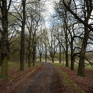 DSC_0416n.JPG