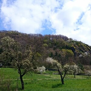 DSC_0633n.JPG