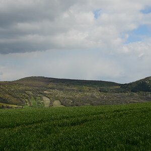 DSC_4387n.JPG