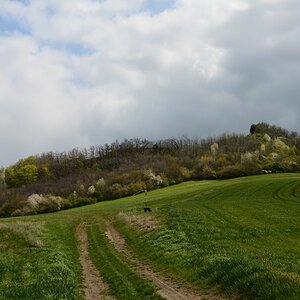 DSC_4388n.JPG