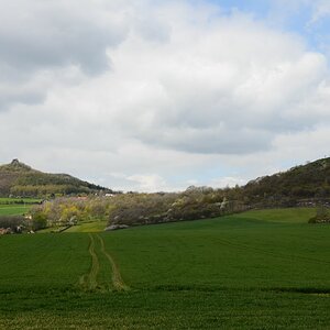 DSC_4393n.JPG