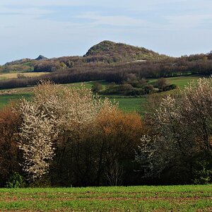 DSCN3587-1n.JPG