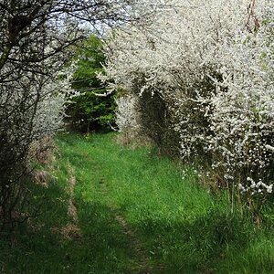 DSCN3671-1n.JPG