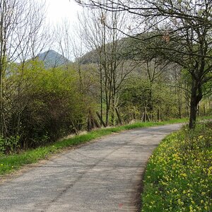 DSCN3690n.JPG
