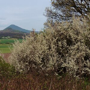 DSCN3704-1n.JPG
