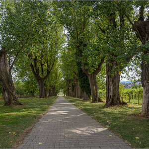 D75_2607.jpg