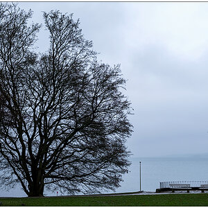 598 Ausblick
