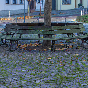OF2_45608.jpg