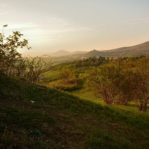 DSC_0108_00001n.jpg