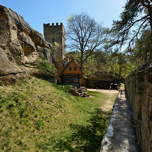 DSC_0169_00001n.jpg