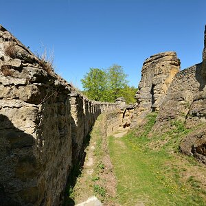 DSC_0170_00001n.jpg