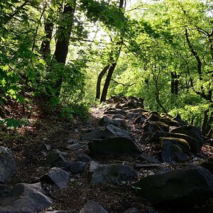 DSC_2047_00001n.jpg