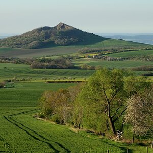 DSC_5958_00001n.jpg