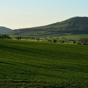 DSC_5959_00001n.jpg
