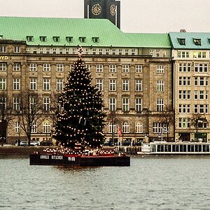TZ_005_7A.jpg