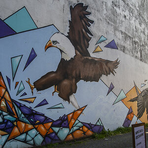 Graffiti Reykjavik.jpg