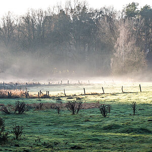 Bodennebel (1 von 1).JPG