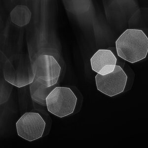Bokeh BW (1 von 1).JPG