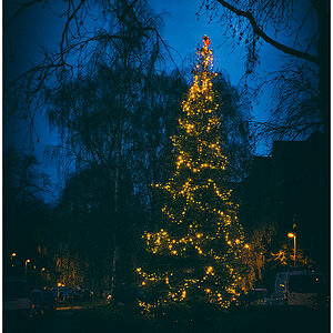 606 Weihnachtsbaum am Blücherplatz in Kiel